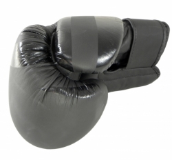 Boxing gloves RBT-MATT 12 oz