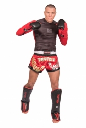 Kickboxing shorts TOP TEN