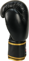 Boxing Gloves RPU-500