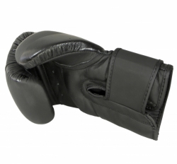 Boxing gloves RBT-MATT 12 oz