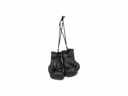 Mini boxing gloves MINI-SM-DSF