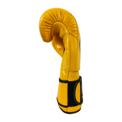 Boxing gloves RBT-MEX