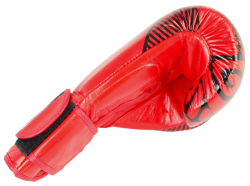 Boxing gloves RBT-RED 12 oz