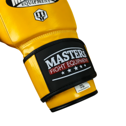 Boxing gloves RBT-MEX