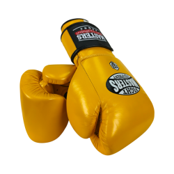 Boxing gloves RBT-MEX