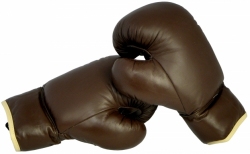 Old Style Boxing Gloves (Old School)