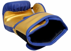 Boxing gloves RPU-COLOR/GOLD