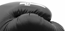 Boxing gloves TOP TEN RTT-4Select