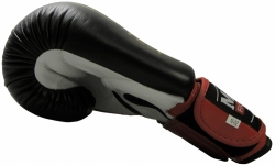 Boxing gloves RBT-50