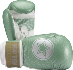 Boxing gloves RTT-SUPERIOR 10 oz