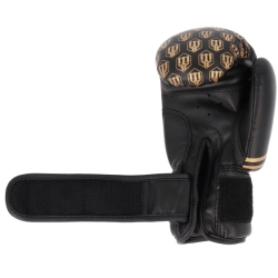 Boxing gloves RPU-20 MASTERS 6 oz black-gold