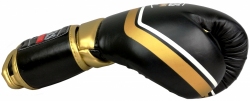 Boxing gloves RPU-10 black-gold