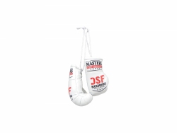 Mini boxing gloves MINI-SM-DSF