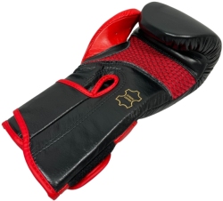 Boxing gloves RBT-PRO-TRAIN 12 oz