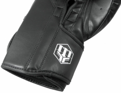 Boxing gloves MASTERS RPU-MFE