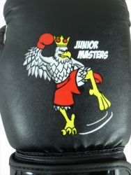 Boxing gloves MASTERS JUNIOR COLLECTION RPU-MJC 8-10 oz