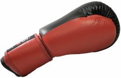 Boxing gloves RBT-50