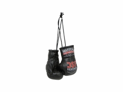 Mini boxing gloves MINI-SM-DSF