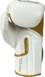 Boxing Gloves RPU-ANGEL