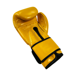 Boxing gloves RBT-MEX