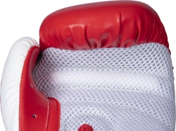 Boxing gloves RTT-NK3 red 10 oz