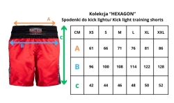 Spodenki do kick lightu MASTERS 