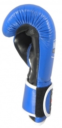Rękawice bokserskie RBT-301W 10 oz  (WAKO APPROVED)