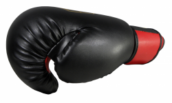 BOXING GLOVES MASTERS - RPU-2A BOXING GLOVES MASTERS - RPU-2A