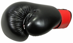BOXING GLOVES MASTERS - RPU-2A BOXING GLOVES MASTERS - RPU-2A