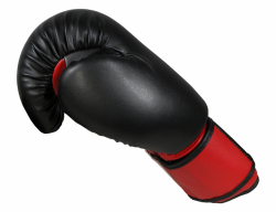 BOXING GLOVES MASTERS - RPU-2A BOXING GLOVES MASTERS - RPU-2A