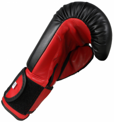 BOXING GLOVES MASTERS - RPU-2A BOXING GLOVES MASTERS - RPU-2A