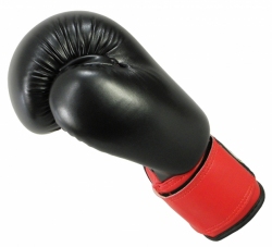 BOXING GLOVES MASTERS - RPU-2A BOXING GLOVES MASTERS - RPU-2A