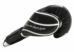 Boxing gloves HYDRO-TECH RBT-TECH Boxing gloves HYDRO-TECH RBT-TECH